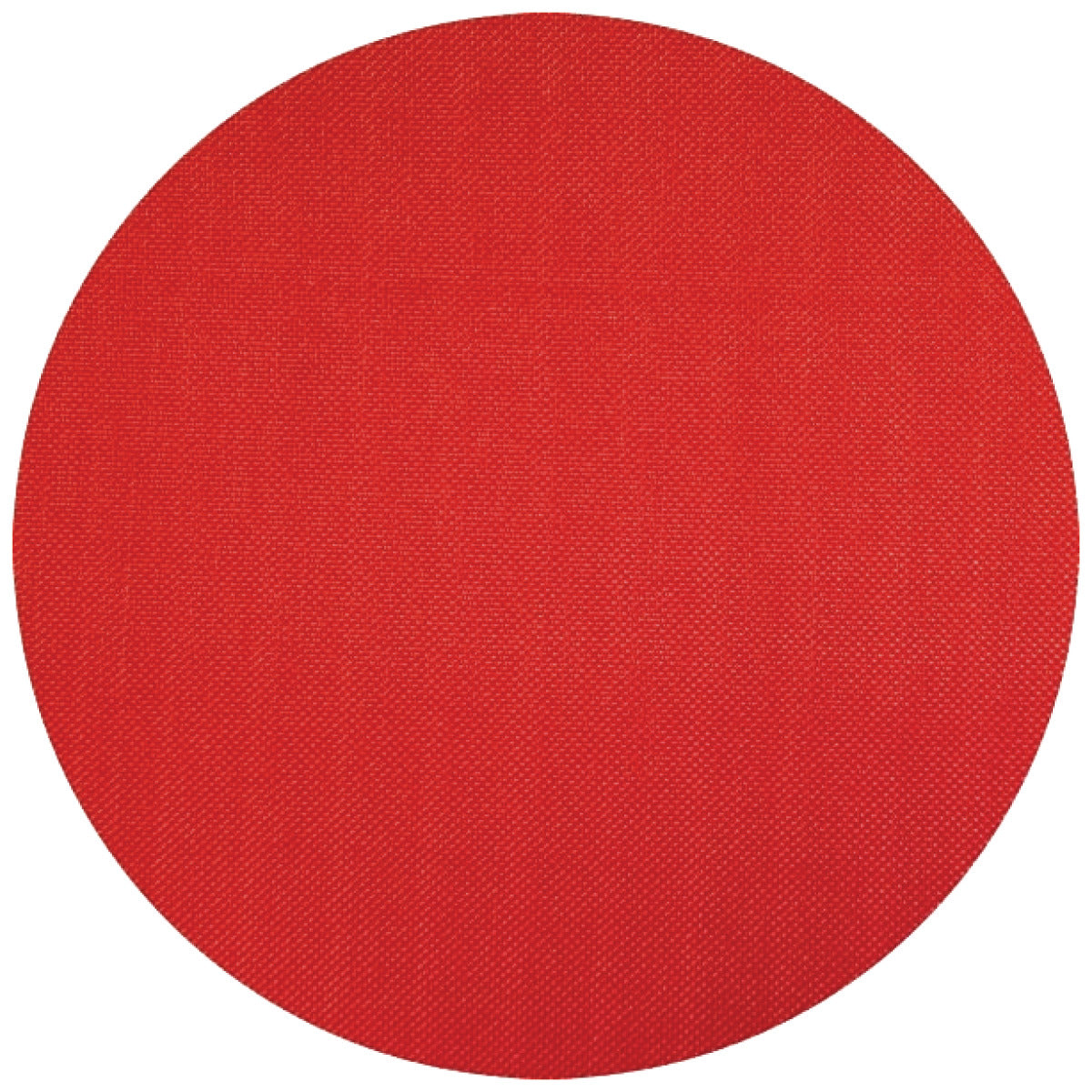 BTS250 Band- und Tellerschleifer